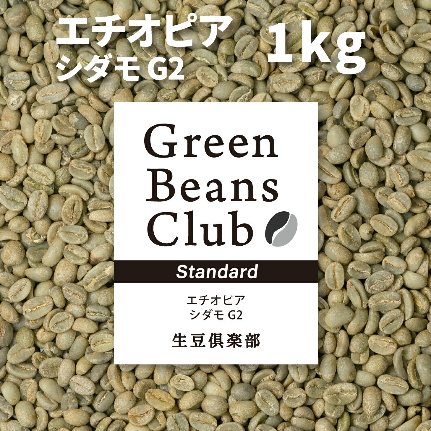 コーヒー生豆 モカ シダモG2 10kg #329