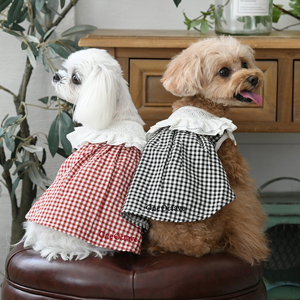 犬服ハンドメイド.ニット生地確認用 犬服ハンドメイド.ニット生地確認