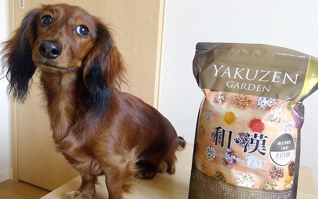 自然の森製薬「和漢みらいのドッグフード（長寿）」の口コミや実食