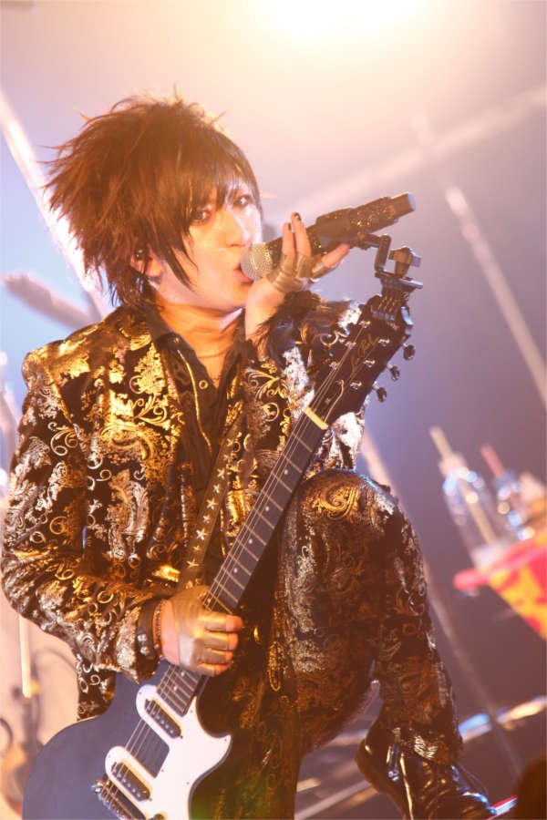 DaizyStripper | LiveFans PUSH!