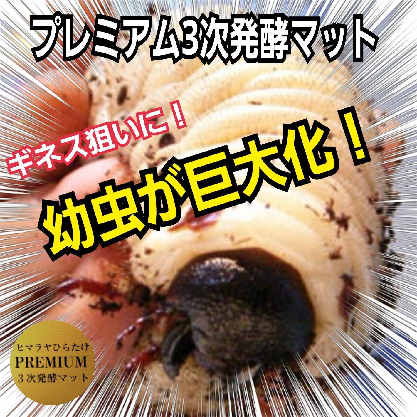 カブトムシ幼虫が大きくなる 改良版 ヒマラヤひらたけ発酵マット【8袋