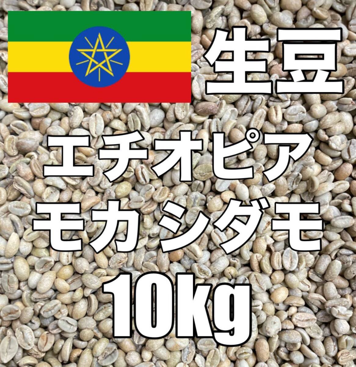 送料 無料 通販食品・飲料 - 【コーヒー生豆】モカ シダモ エチオピア