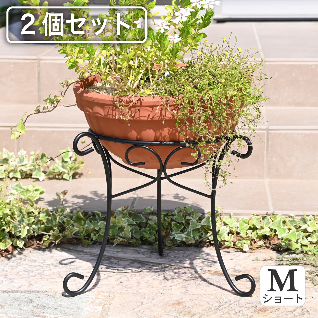 フラワースタンド アイアン製 Mサイズ ショート ブラック 花台 屋外