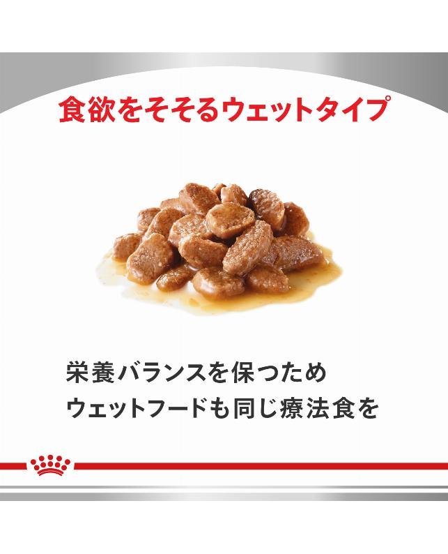 ロイヤルカナン 〈猫用〉 満腹感サポート 2kg（3182550763165