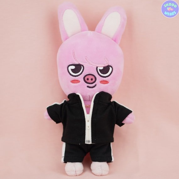 StrayKids スキズ チャンビン DWAEKKI トエッキ テディベア straykids