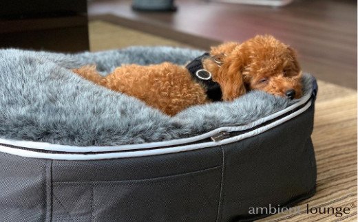 ambient lounge ペット アンビエントラウンジ サイズM アンビエント