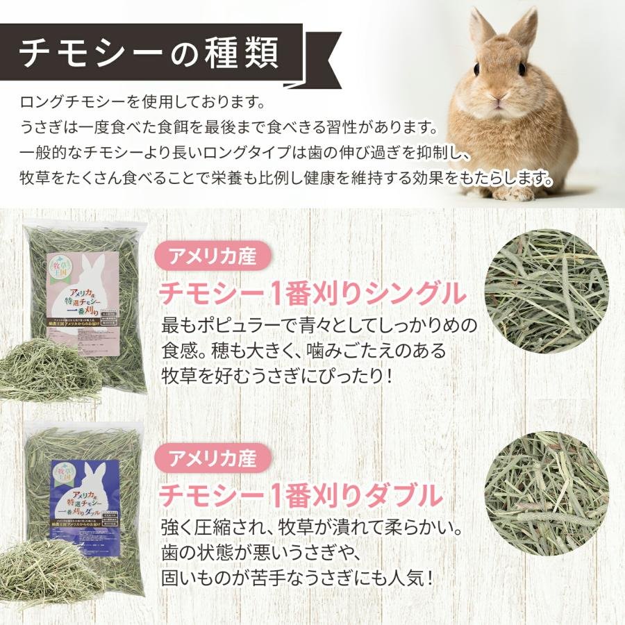 11/10マデ】 カナダ産 チモシー 30kg スーパープレミアム 1番刈