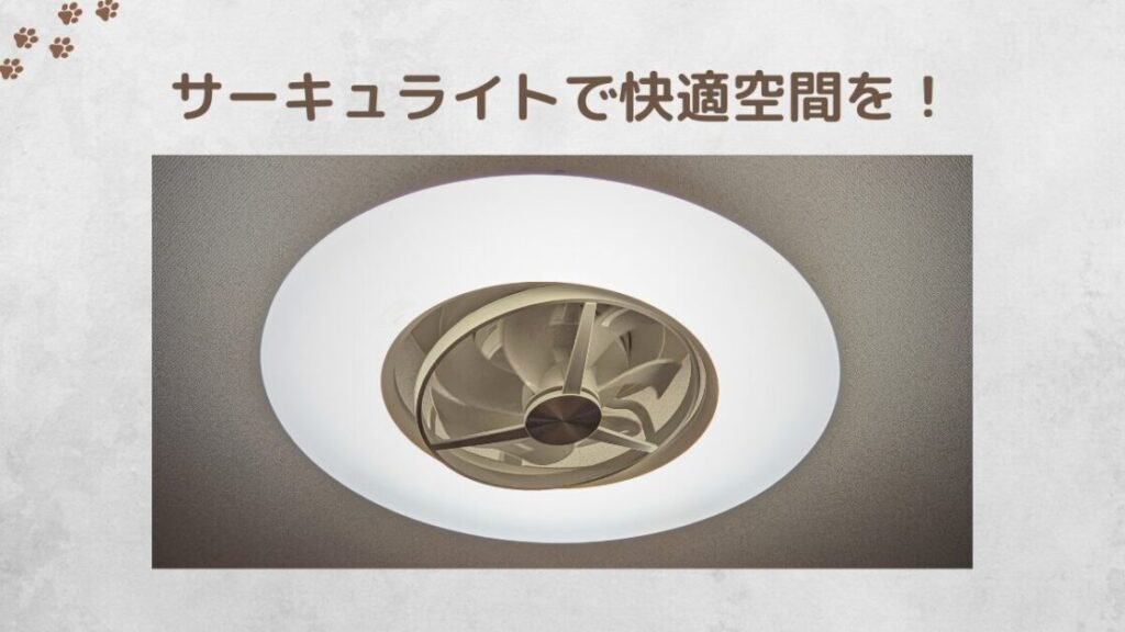 DCC-SWA12CとKCC-SWA12Cの違いは？サーキュライトを1年使ったレビュー