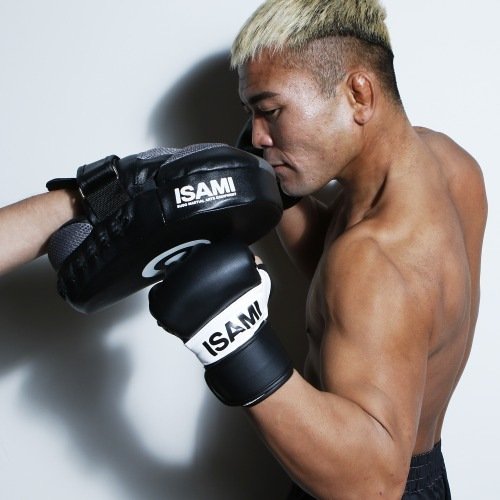 MMAウォシャブルグローブ | すべての商品 | ISAMI(イサミ) |格闘技 武