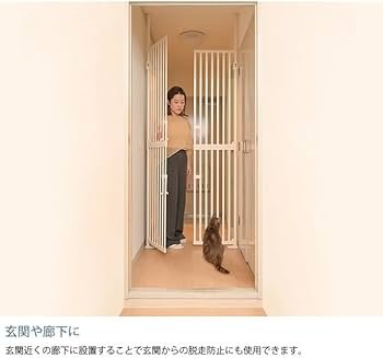 Amazon.co.jp: わにゃにゃ 猫用にゃんドア クリーム色 スチール