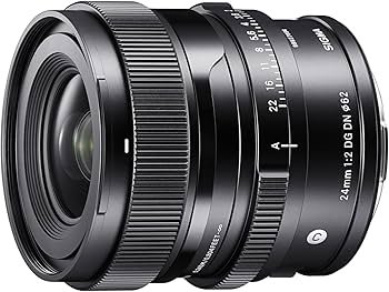 Amazon.com : 24mm F2 DG DN for Sony E : Electronics