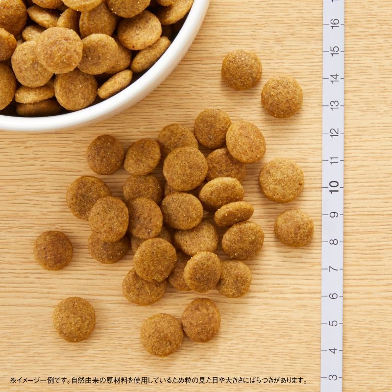 ニュートロ ナチュラル チョイス 中型犬～大型犬用 成犬用 チキン&玄米