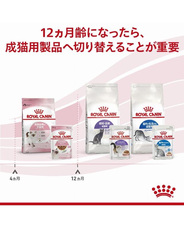 ロイヤルカナン 室内で生活する成猫用ウェットフード 85g×47袋