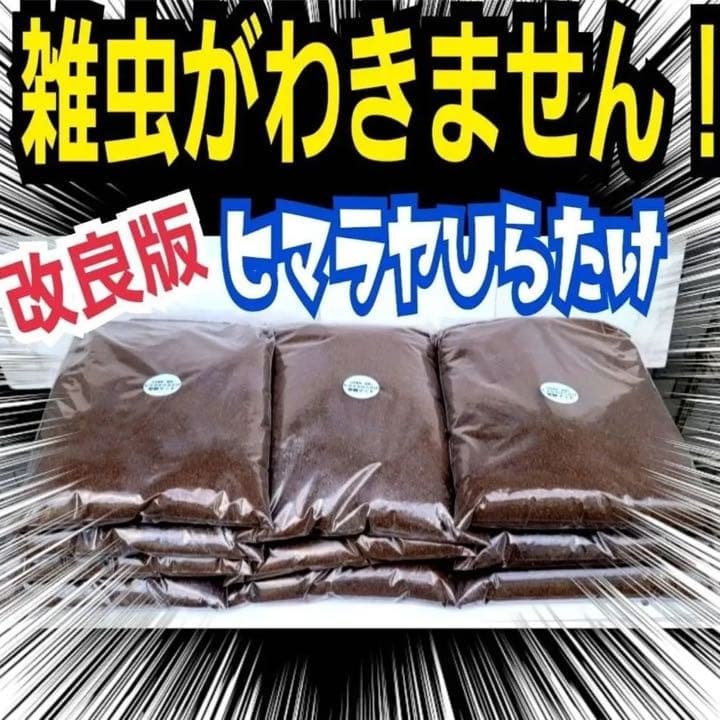 カブトムシ幼虫が大きく育ちます！ヒマラヤひらたけ発酵マット【8袋】栄養添加剤入り カブトムシ幼虫が大きくなる 改良版 ヒマラヤひらたけ発酵マット【8袋