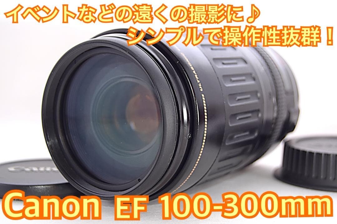 Canon キヤノン 望遠レンズ 100-300mm 迫力の300㎜！LENS テレビ