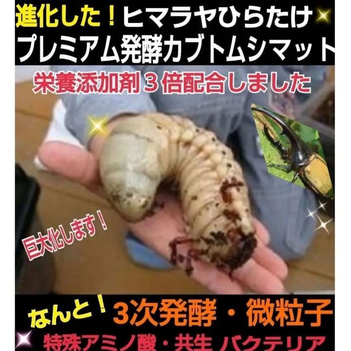 4セット】10リットルケース入☆プレミアム発酵カブトムシマット☆幼虫