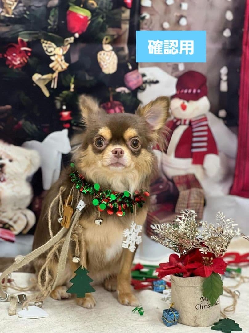 hwara様 　 2025　クリスマス　パッケージ 缶　匿名発送　おまけ付き 第3弾ウィンターギフト【クリスマス編①】2025Christmas🎄🎅 | 株式