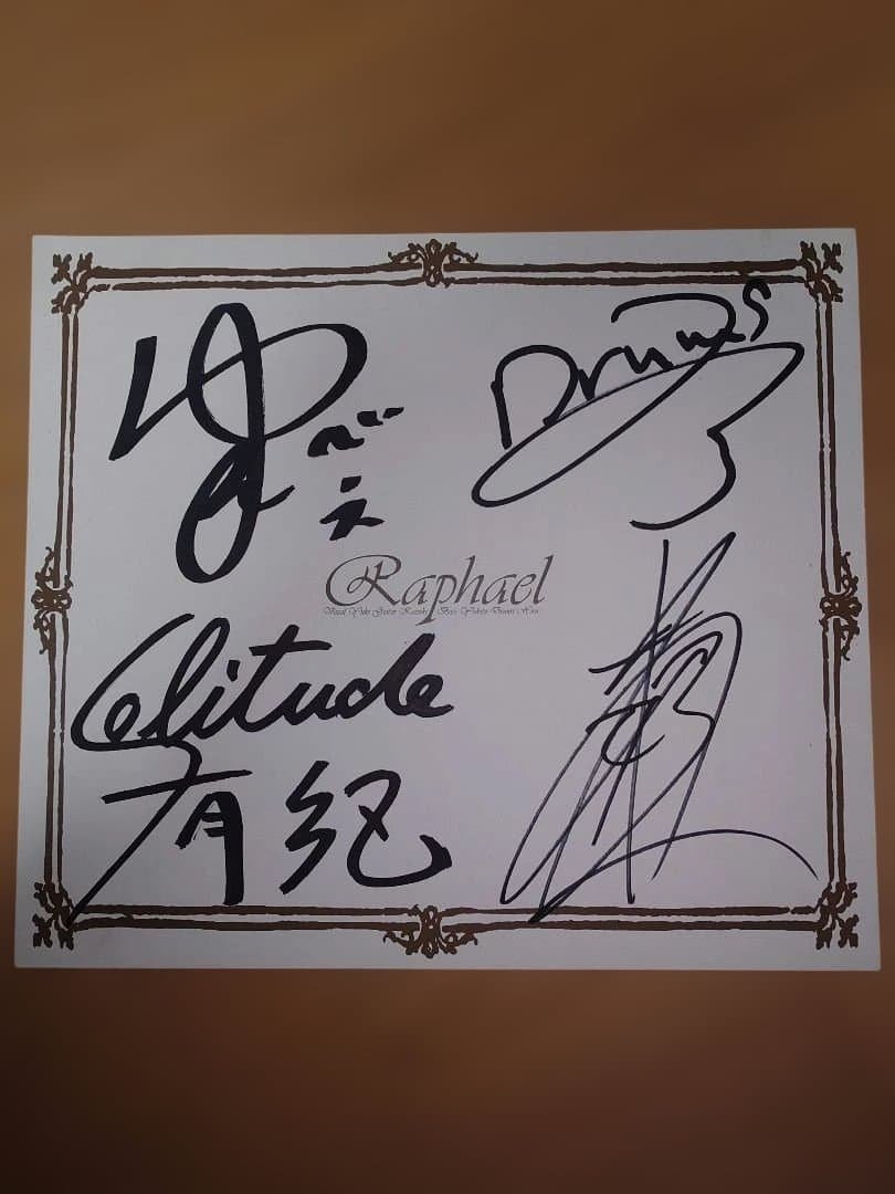 Raphael 日本武道館 DVD おまけ付き