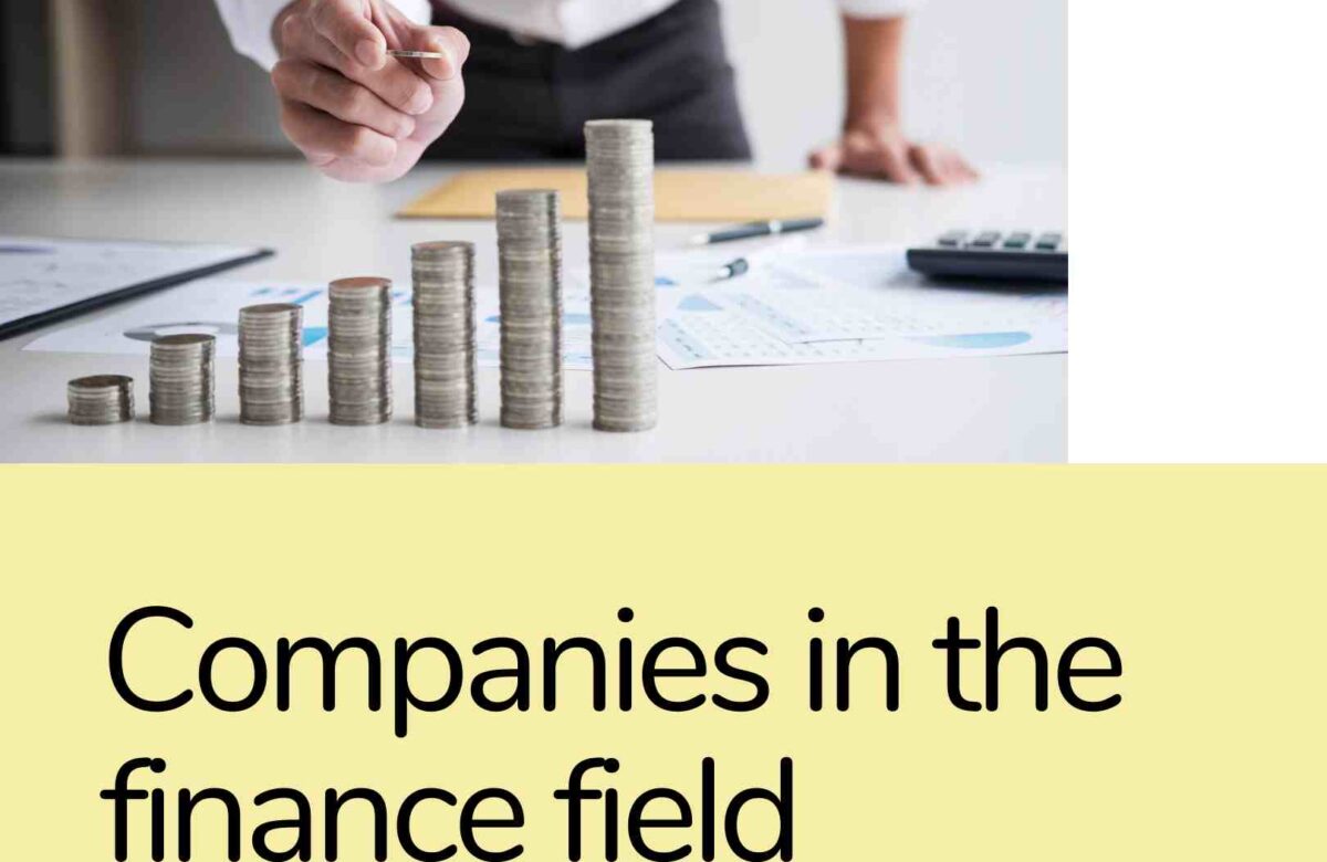  What Companies Are In the Finance Field?